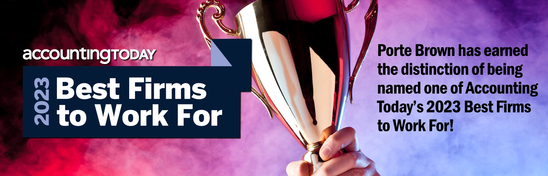 Porte Brown Top CPA Business Accounting Firm in Chicago